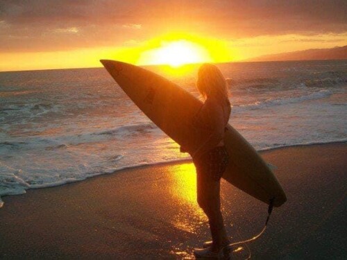 Joanne Nauheimer Profile