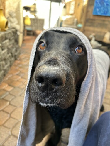 Wilfredo Cruz Profile