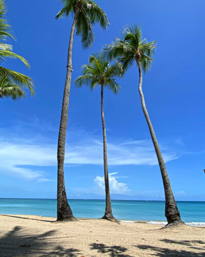 Rebecca Cruz Profile