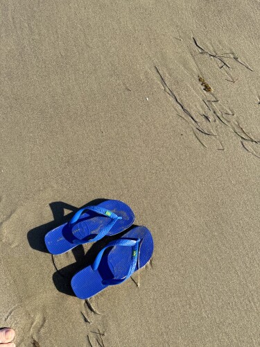 Adriana Goodwin Profile