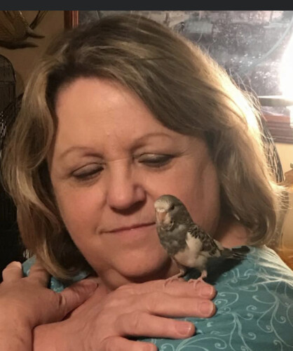 Vickie Revlett Profile