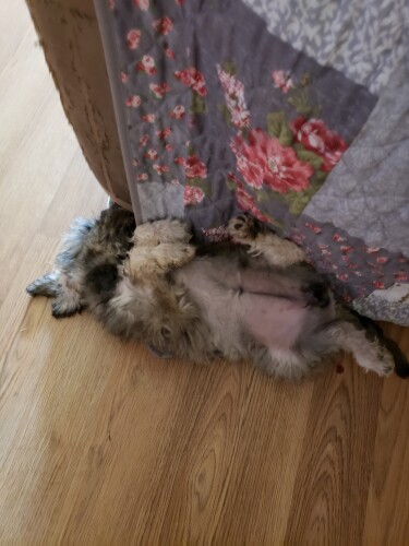 Sharon Miller Profile