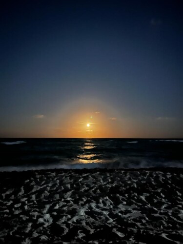 Yamileth Castro Profile