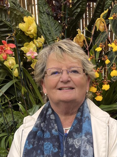 Sue Wisecarver Profile