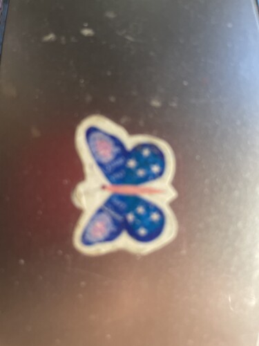 Diane Drevas Profile