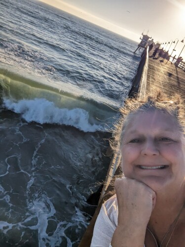 Liz Nollkamper Profile