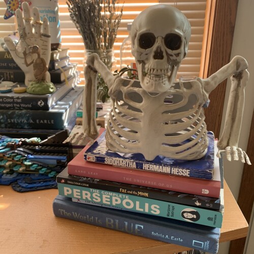 Katie Carlson Profile