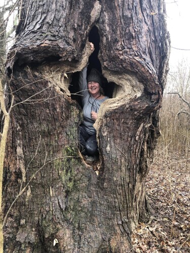 Brenda Reynolds Profile