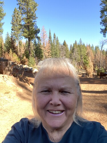 Susan Dollins Profile