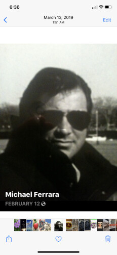 Michael Ferrara Profile