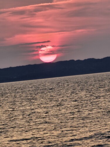 Sharon Mitchell Profile