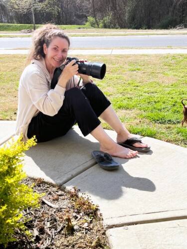 Fabienne Lawrence Profile