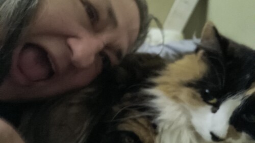 Annette Schneider Profile