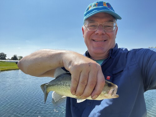 David Lehman Profile