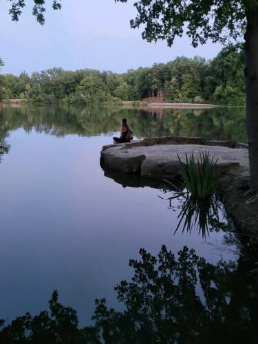 Sarah Somerville Profile