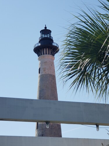 Christine Morris Profile