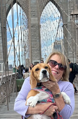 Patricia Carr Profile