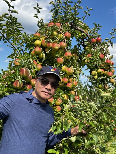 Hermenegildo Bruce Profile