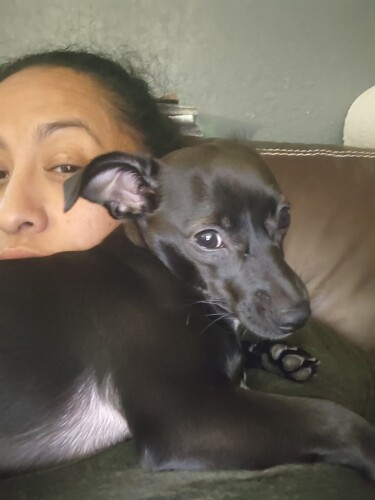 Anna Marchain Profile