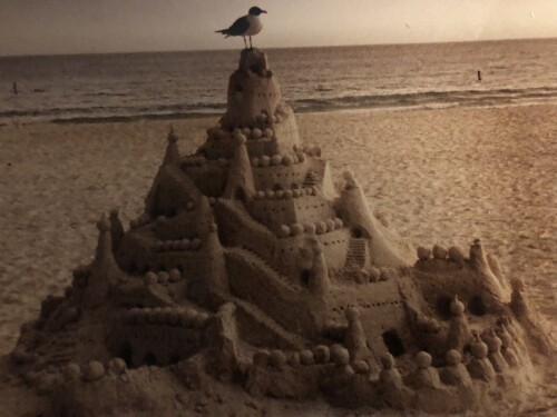 Vince Petrilla Profile