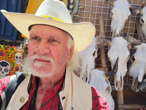 SD Youngwolf Profile