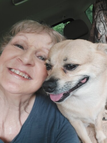 Linda Stilwell Profile