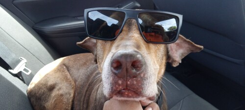 Ernie saldivar Profile