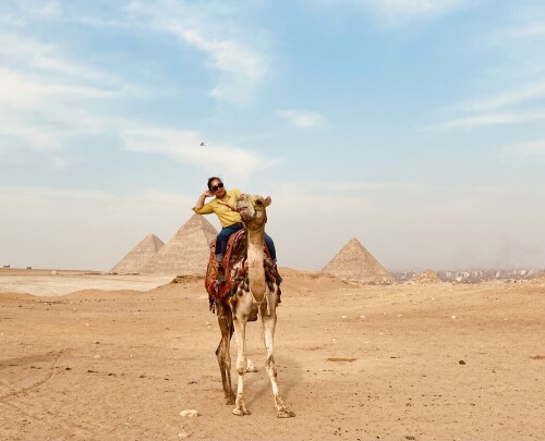 Celesty Puree Profile