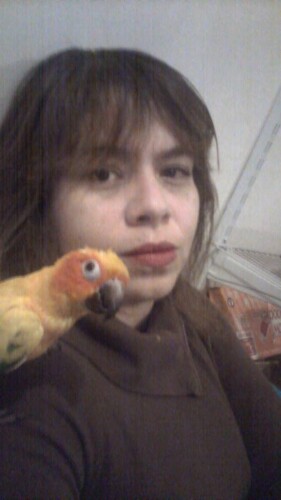 Diohema Deloya Profile