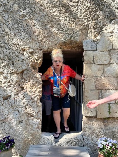 Robin Holley Profile