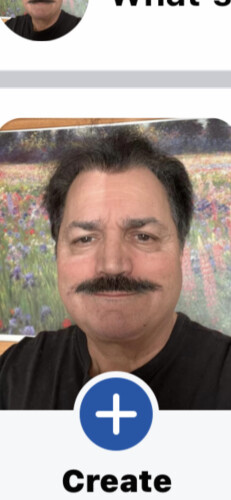 Stephen Sylvia Profile