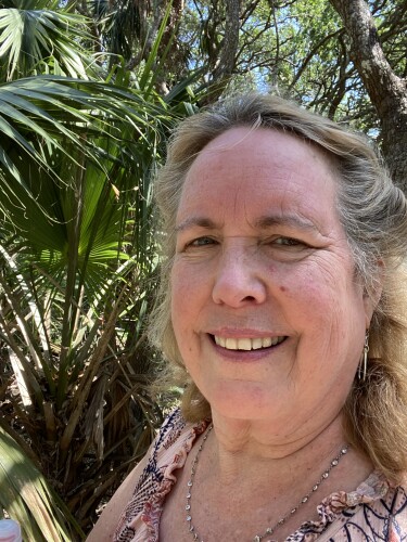 karen sacchetti Profile