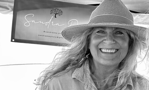 Sandy Gaudino Profile