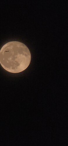 Leticia Ramirez Urias Profile