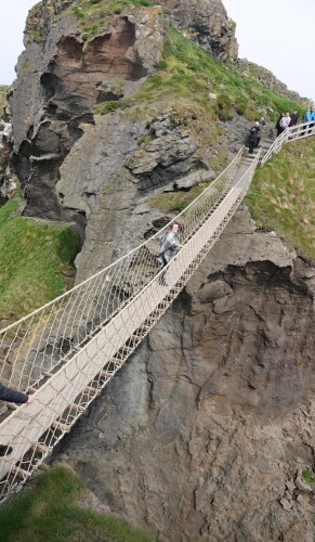 Tomo Henderson Profile