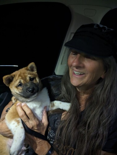 Suzanne Nelson Profile