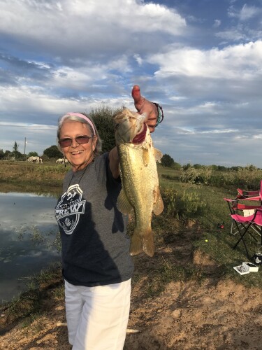 Victoria Campbell Profile