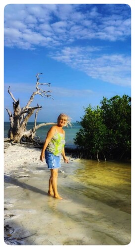 Szilvia Sipeki Profile