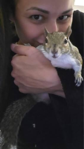 Jennifer Rebecchi Profile