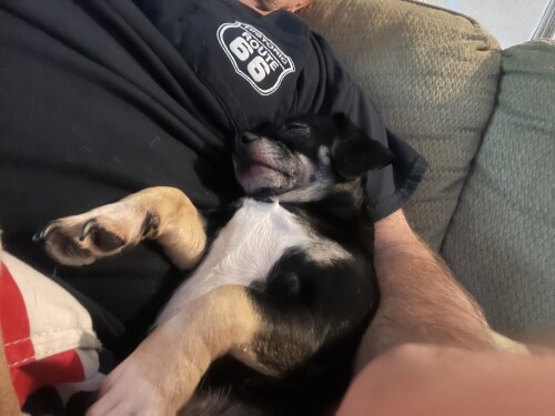 James spolarich Profile