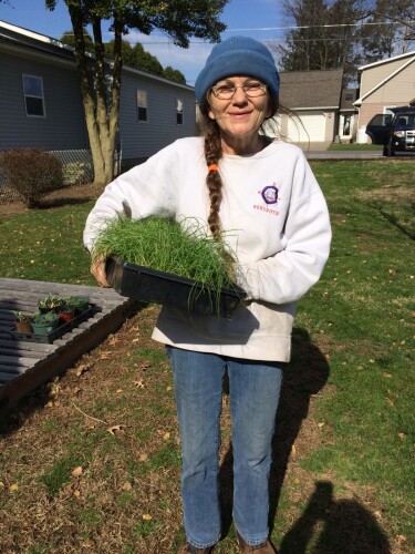 Holly Whittaker Profile