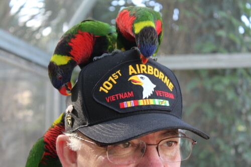 Robert Vannini Profile