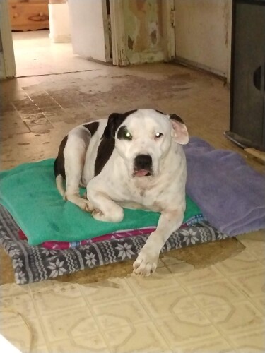 Barbara Blackmon Profile