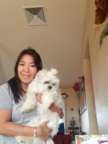 Alexis Simpson Profile