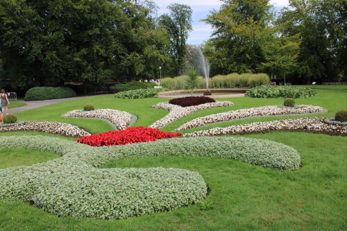 Stephen Corson Profile