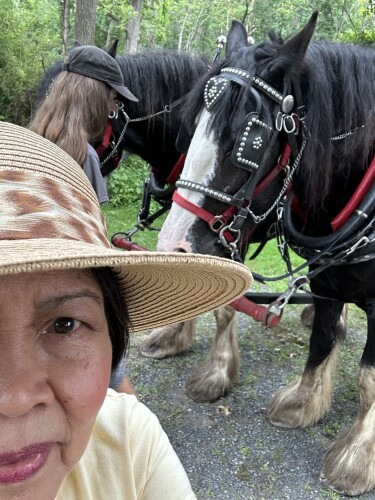 Lydia Mcgregor Profile