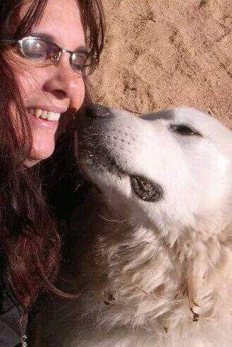 chris freiberg Profile