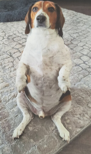 Linda Cushing Profile