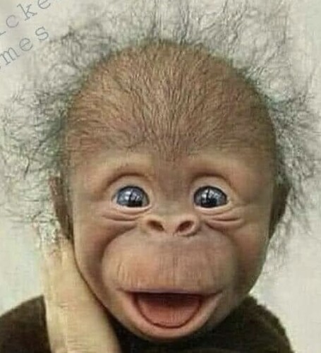 Lawrence Martel Profile