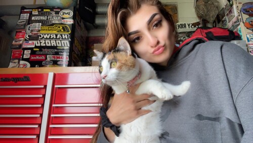 sarah DiDomenico Profile